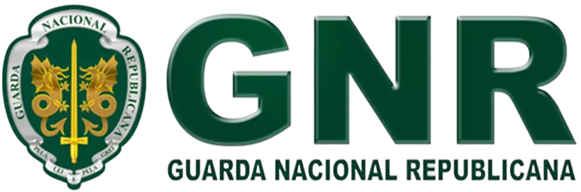 gnr-logo 1